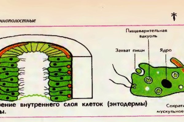 Кракен зеркало прокатис