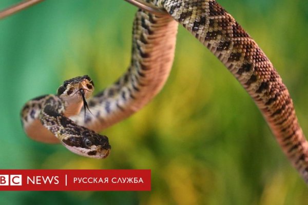 Сайт кракен онион