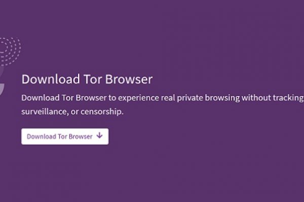 Кракен мониторинг ссылок kraken torion
