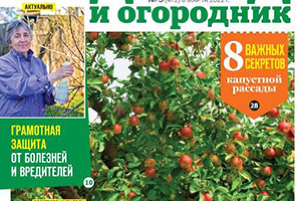 Kraken рабочее зеркало onion