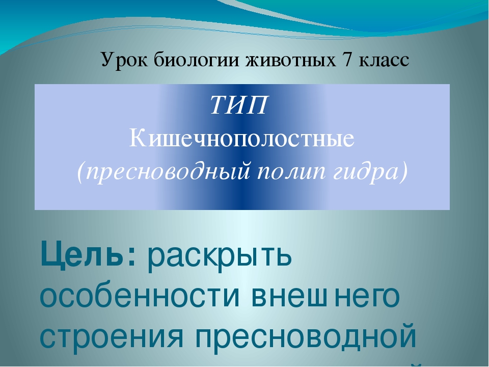 Ссылка на кракен kr2web in