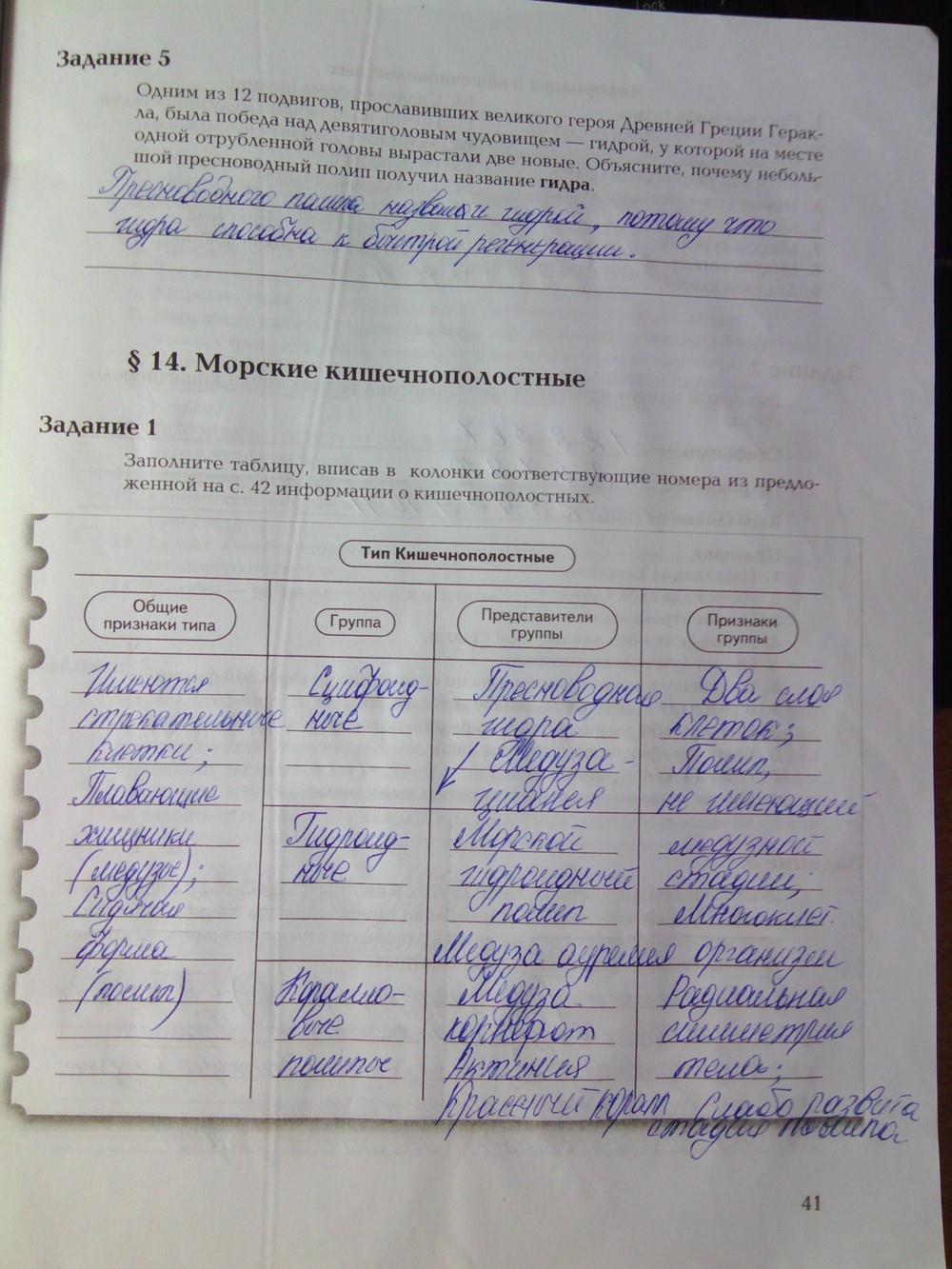 Кракен вход официальный сайт