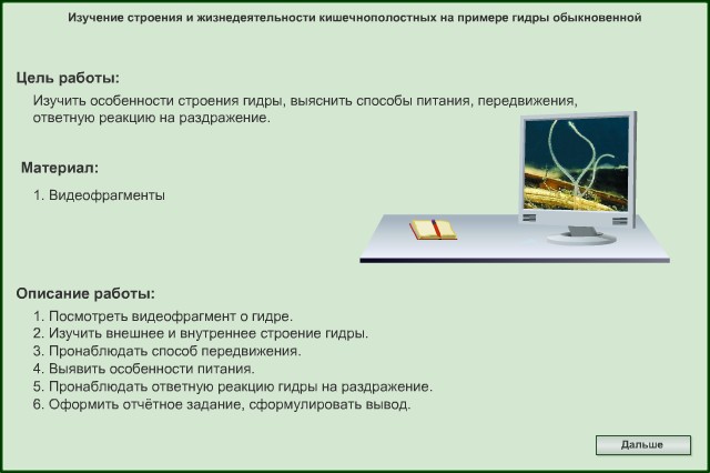 Вывести деньги с кракена